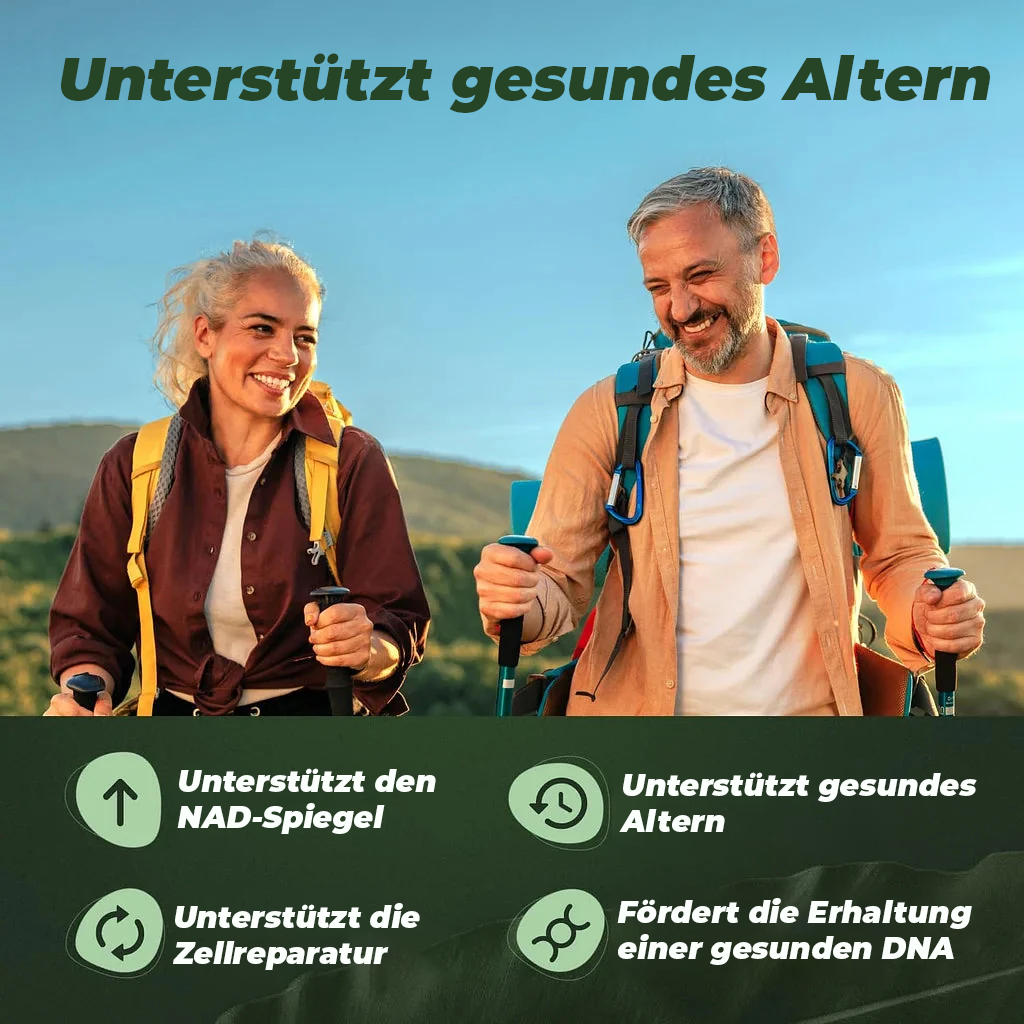 NAD+ Anti-Aging Ergänzungsmittel