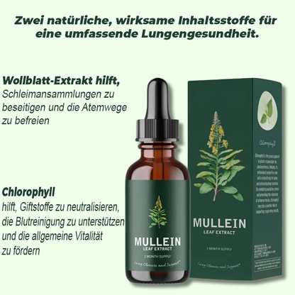 Extrakt aus Königskerze und Chlorophyll