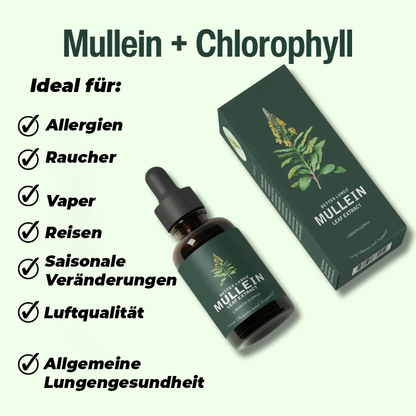 Extrakt aus Königskerze und Chlorophyll