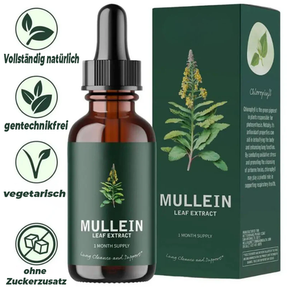 Extrakt aus Königskerze und Chlorophyll